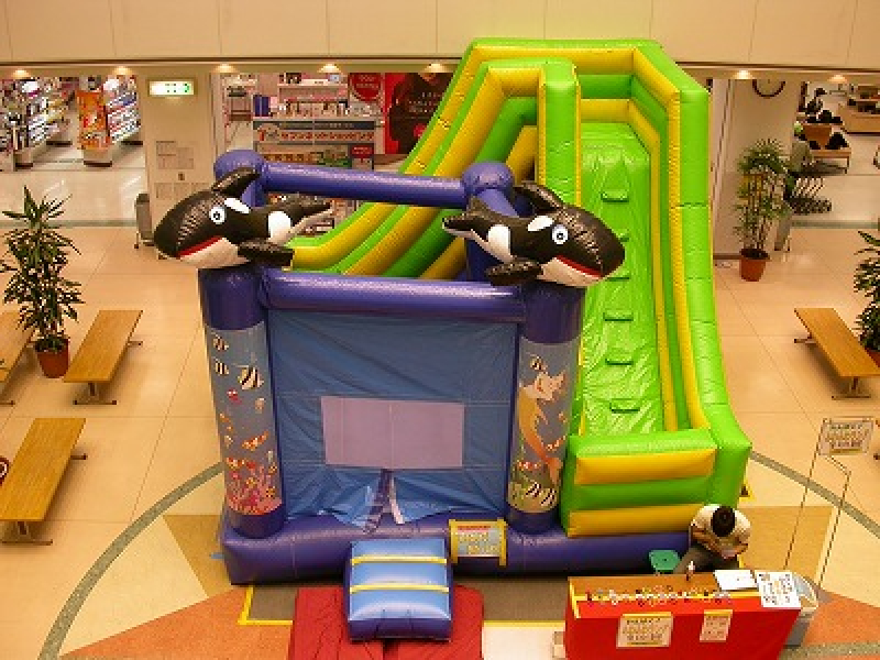 A105ふわふわドルフィン